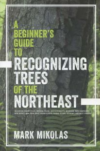 A Beginner's Guide to Recognizing Trees of the Northeast